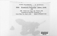 Image Associated With the Occurence